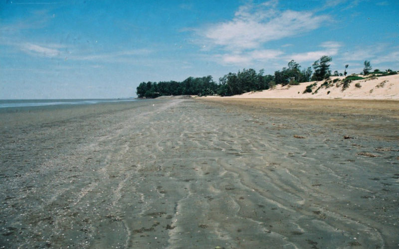 Hide and Seek, Chandipur Beach, Orissa Hide and Seek, Chandipur Beach, Orissa