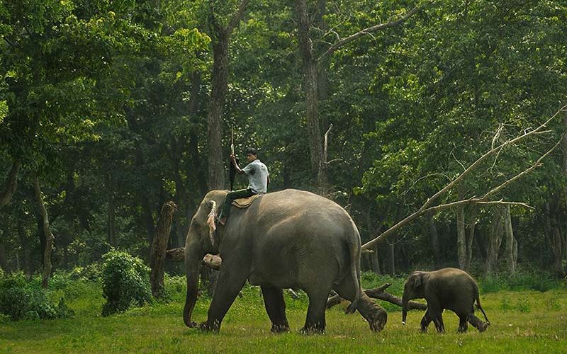 Chitwan National Park, Nepal Chitwan National Park, Nepal