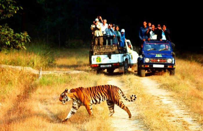 Jim Corbett National Park, Uttarakhand Jim Corbett National Park, Uttarakhand