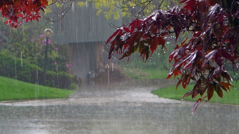 Red Rain, Kerala Red Rain, Kerala