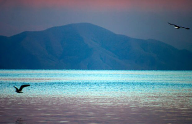 Sevan Sevan