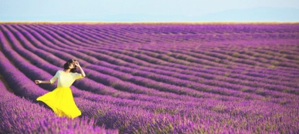 breathe-in-the-lavender