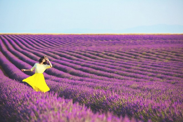 breathe-in-the-lavender breathe-in-the-lavender