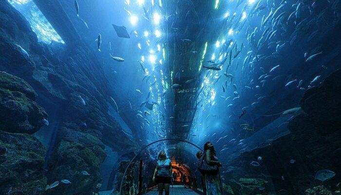 dubai_underwater_zoo dubai_underwater_zoo