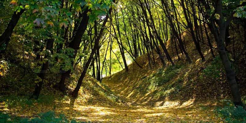 kolomenskoye-park-in-moscow- kolomenskoye-park-in-moscow-