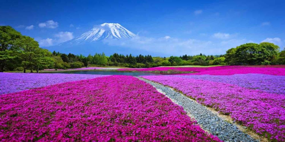 japan japan