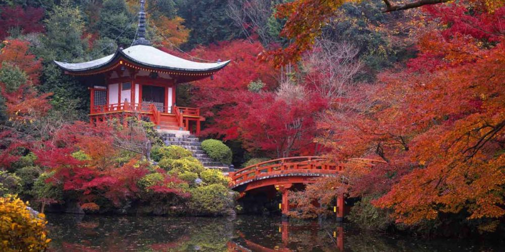 temple-in-japanese-kyoto-gardens temple-in-japanese-kyoto-gardens
