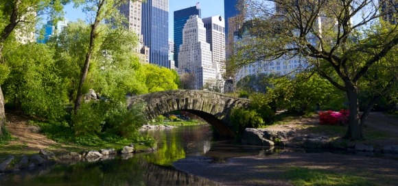 newyork 3 newyork 3