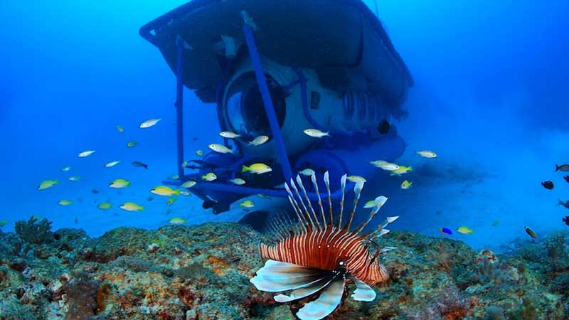 safari submarine safari submarine