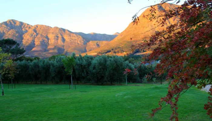 cape-town cape-town