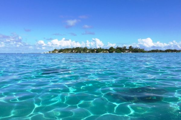 Mauritius Island 8 Mauritius Island 8