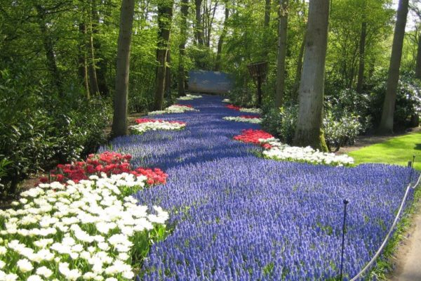 Keukenhof-Gardens Keukenhof-Gardens