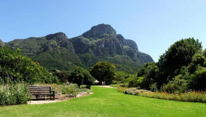 kirstenbosch_cape_town kirstenbosch_cape_town