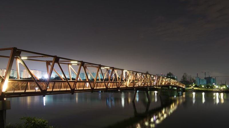 lorong halus bridge lorong halus bridge