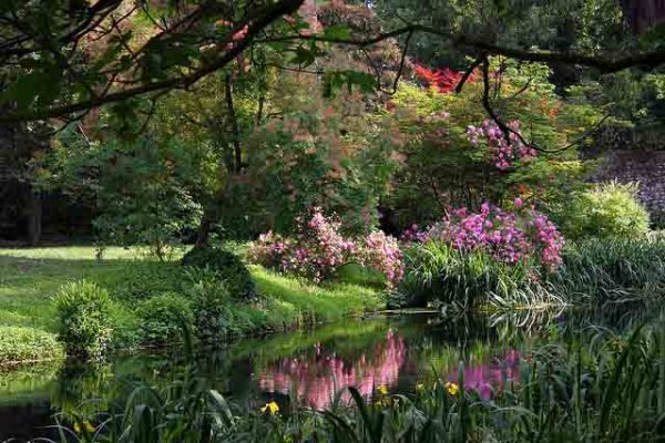 Ninfa-Garden Keukenhof-Gardens