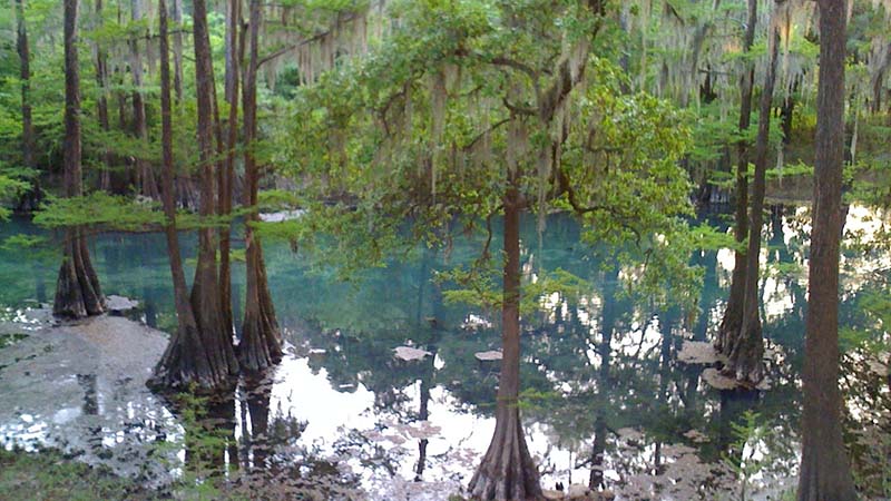 radium springs radium springs