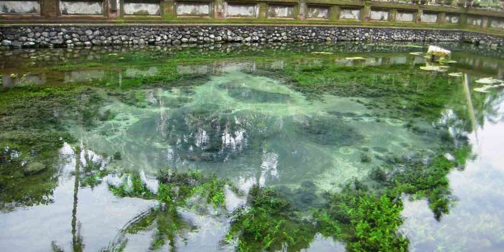 sacred-hot-spring-at-the-tampak-siring-holy-spring sacred-hot-spring-at-the-tampak-siring-holy-spring