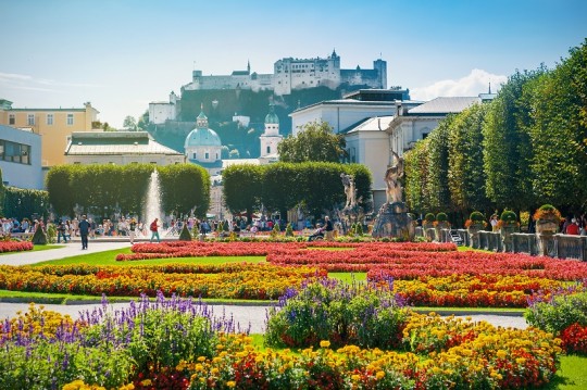 Viator_Shutterstock_170880-540x359 Viator_Shutterstock_170880-540x359