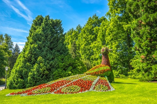 Viator_Shutterstock_170881-540x359 Viator_Shutterstock_170881-540x359