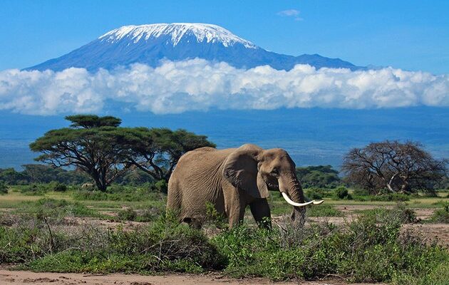africa-best-game-reserves-amboseli africa-best-game-reserves-amboseli