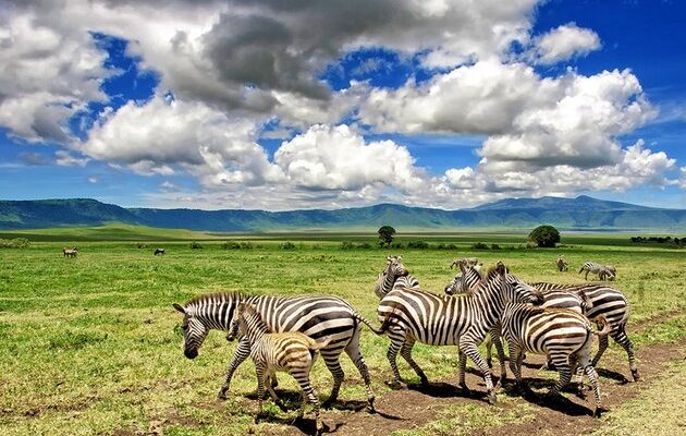 africa-best-game-reserves-ngorongoro-630x400.jpg