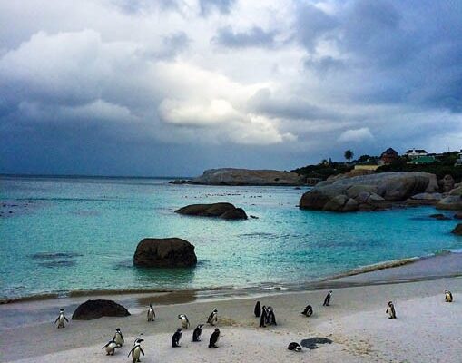 cape-town4 cape-town4