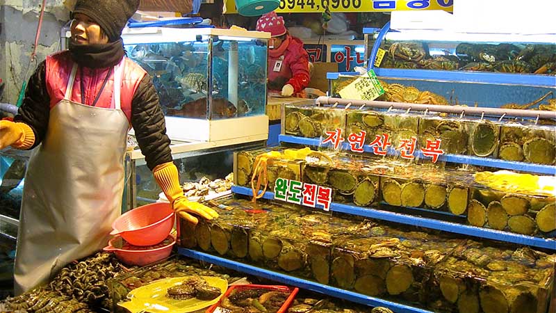 fish market in seoul fish market in seoul