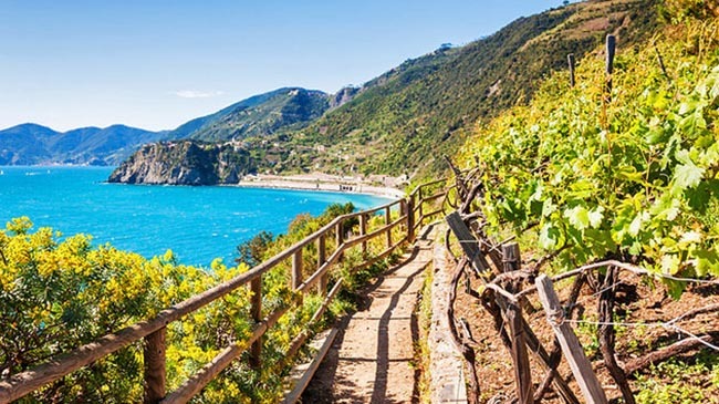 hiking cinque terre hiking cinque terre