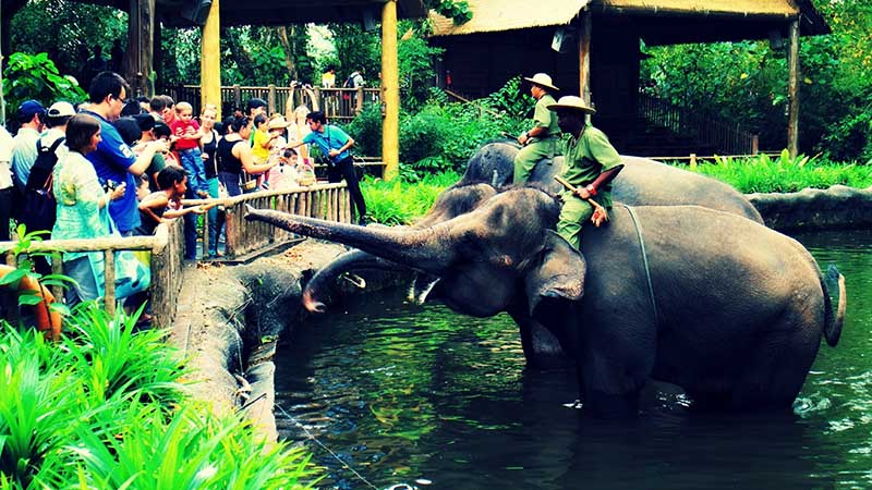 animals in singapore animals in singapore