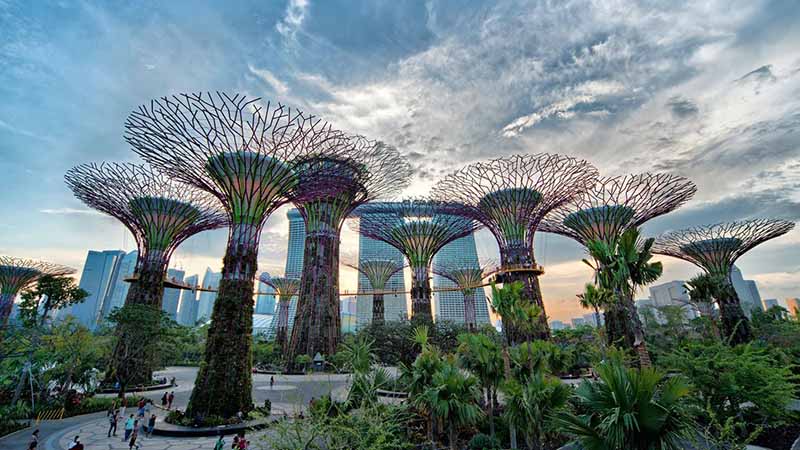 Gardens by the Bay Gardens by the Bay