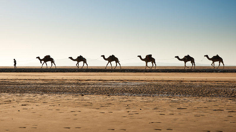 danakil desert danakil desert