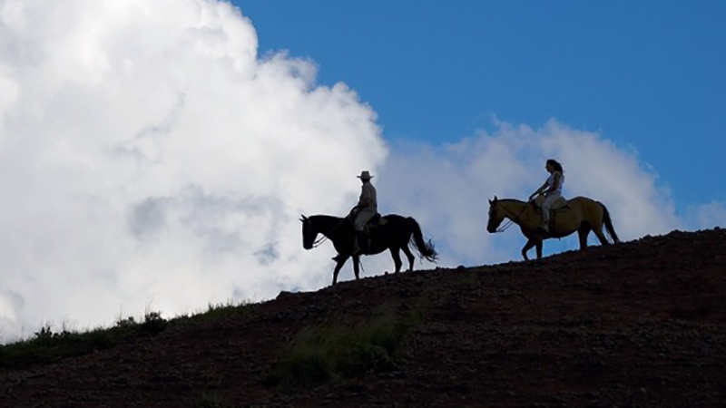 heroes on horseback قهرمانان بر اسب در هند