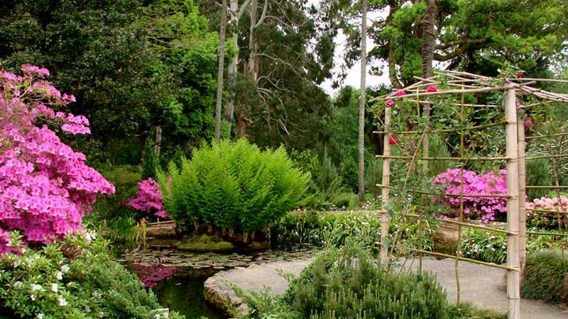 botanical gardens botanical gardens