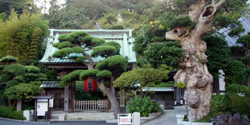 kamakura kamakura