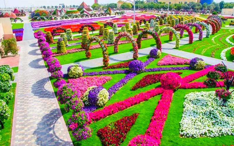 باغ معجزه دبی باغ معجزه دبی