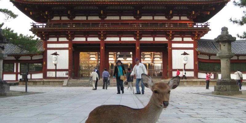 nara nara