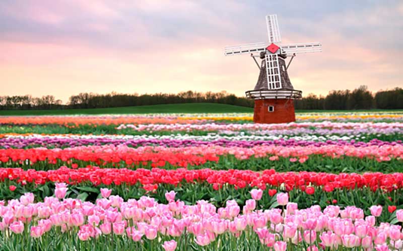 netherlands netherlands
