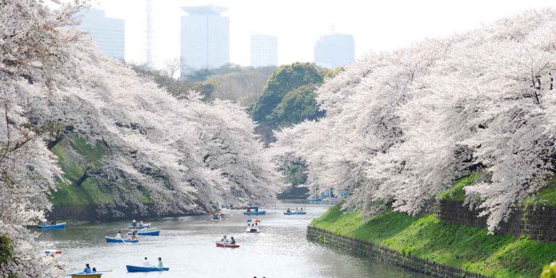 ueno-park-original-1358 ueno-park-original-1358