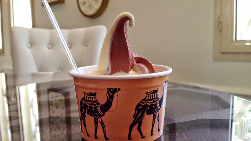 camel icecream camel icecream