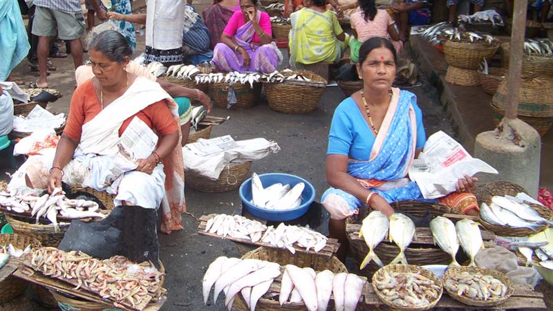 chapora fish market chapora fish market