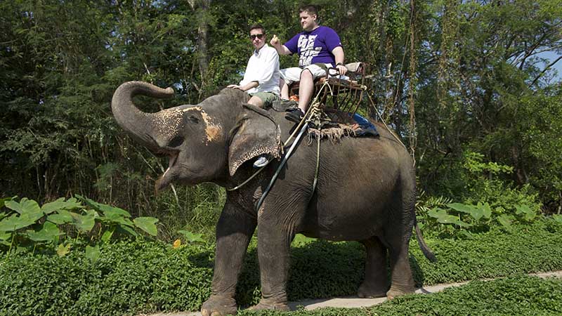 ride an elephant in thailand ride an elephant in thailand