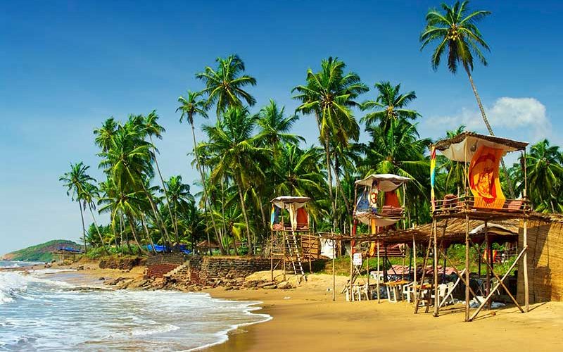 goa goa