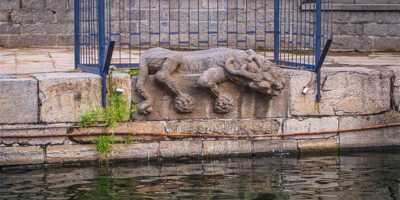 houhai-lake-dragons_cs houhai-lake-dragons_cs