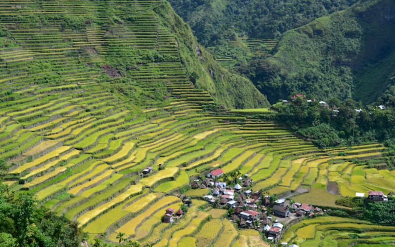 Rice terraces in Batad Rice terraces in Batad