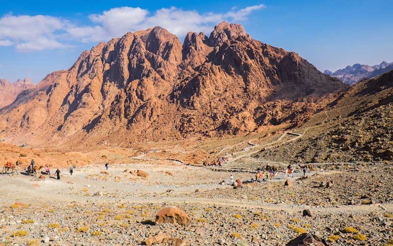 بیابان سینا بیابان سینا