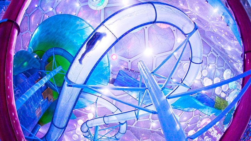 water cube water cube