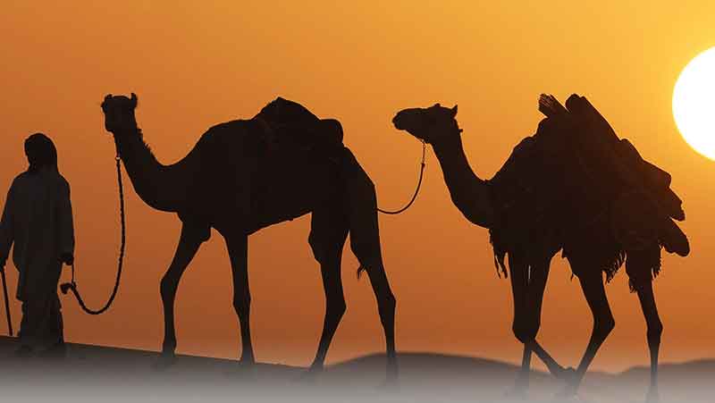 فرهنگ دبی فرهنگ دبی