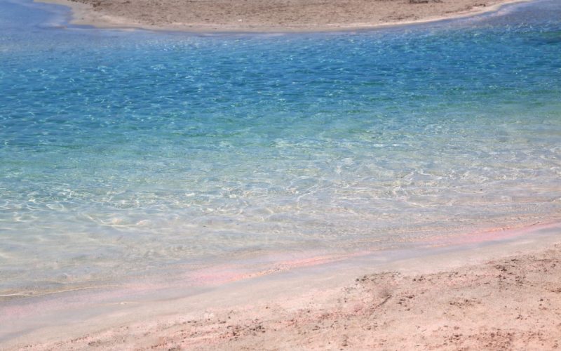 ساحل ایلافونیسی ساحل ایلافونیسی