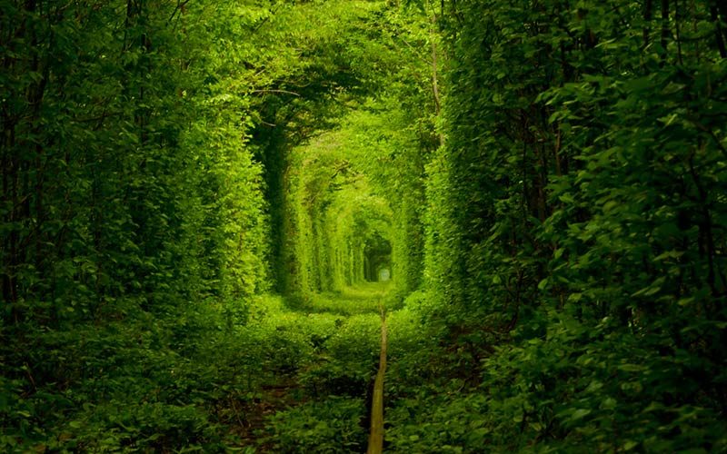 تونل عشق تونل عشق