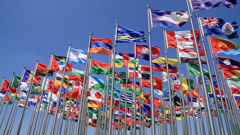 سازمان تجارت جهانی سازمان تجارت جهانی